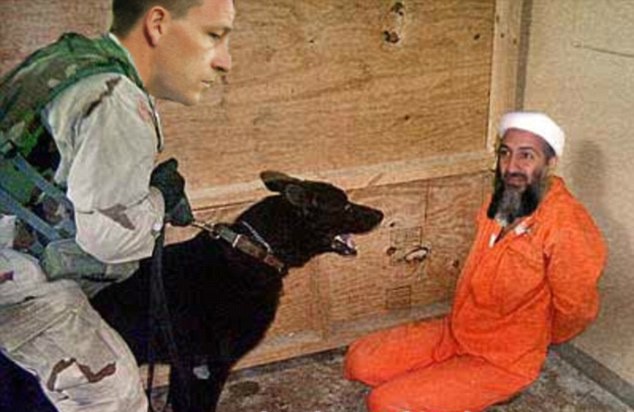 Terry xung phong đi bắt trùm khủng bố Bin Laden.
